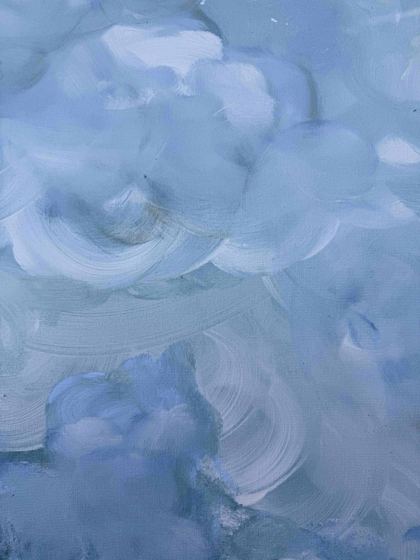 Coastal Veil