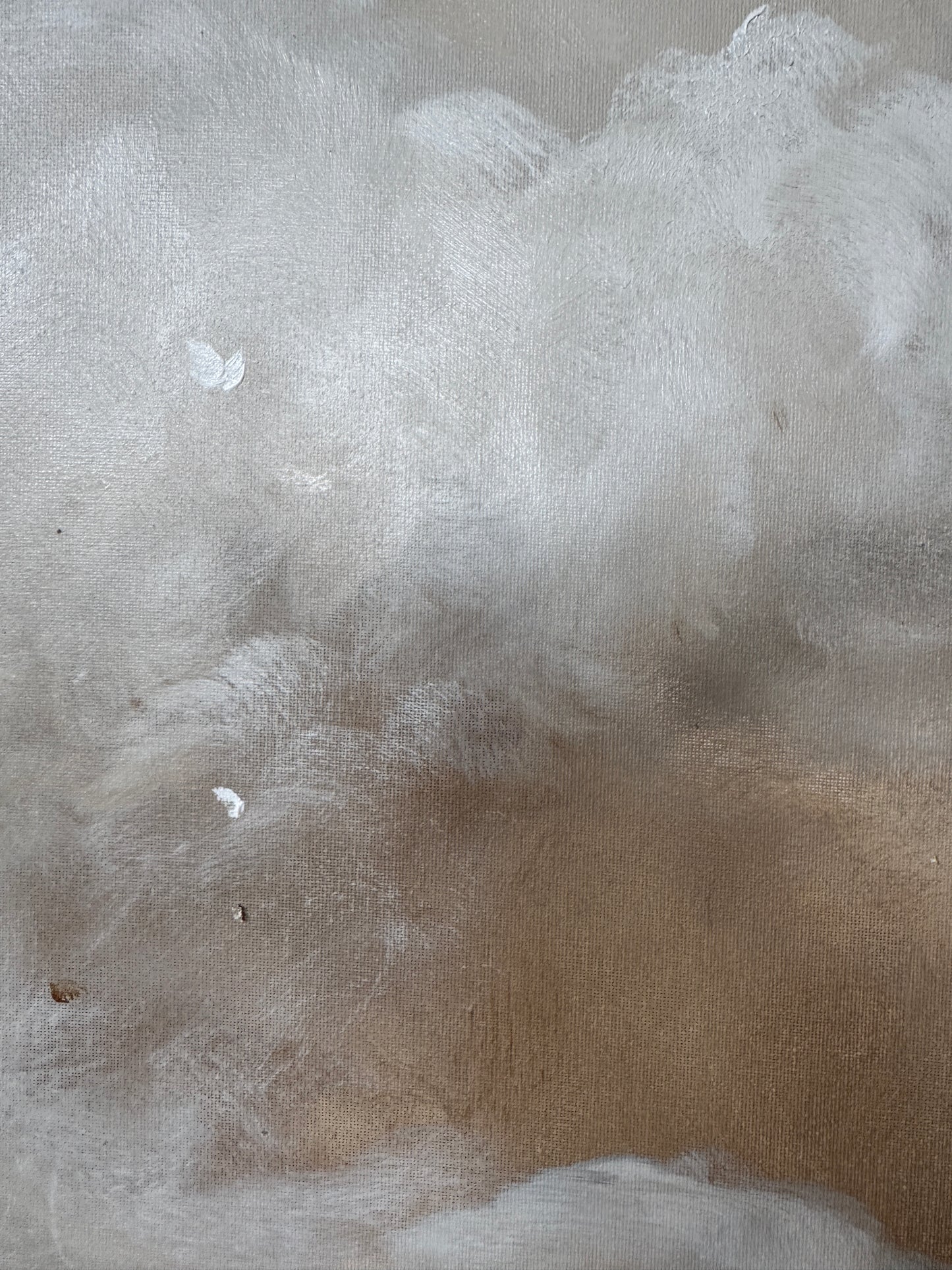 Faded Fields