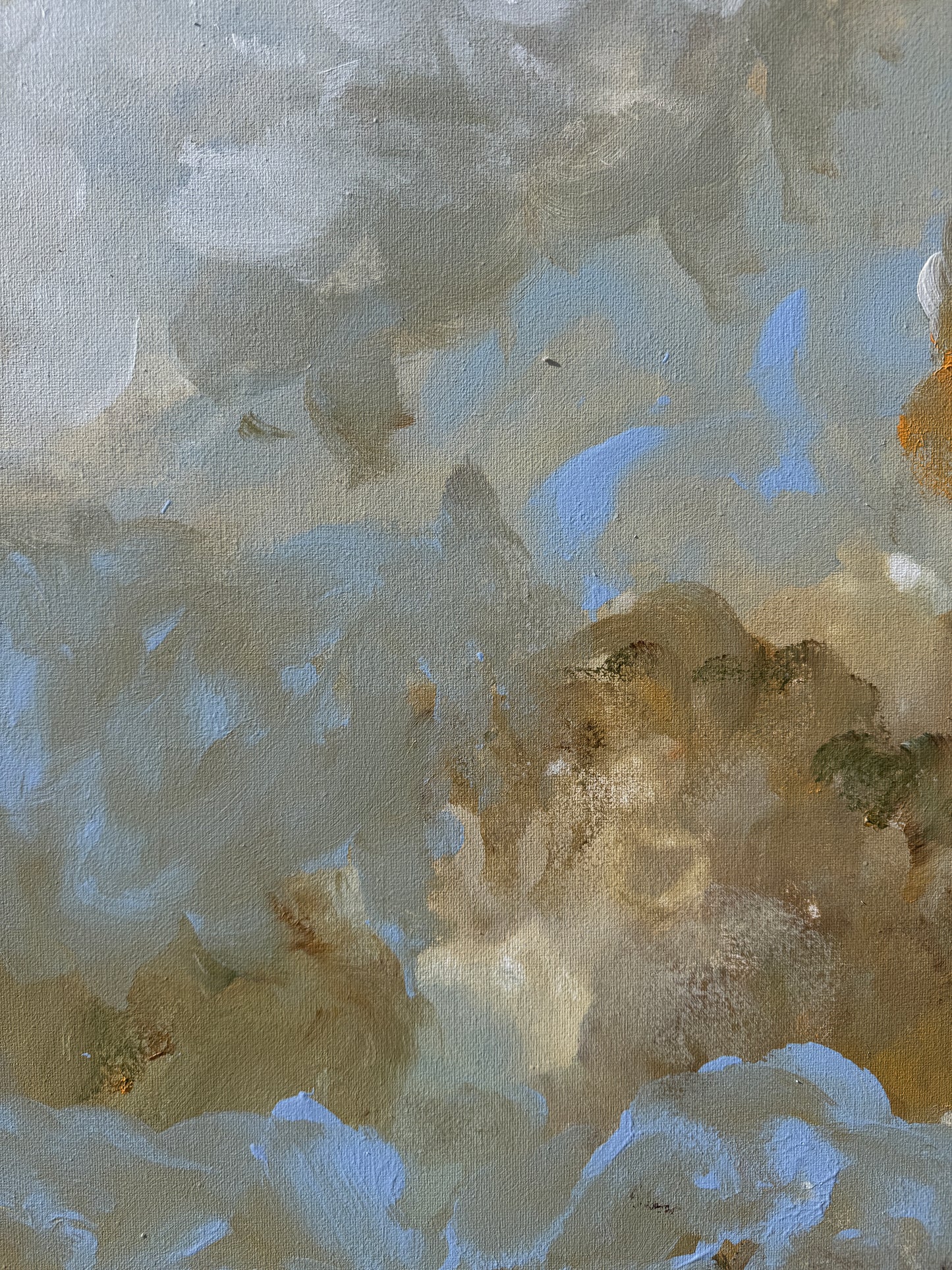 Misty Horizon