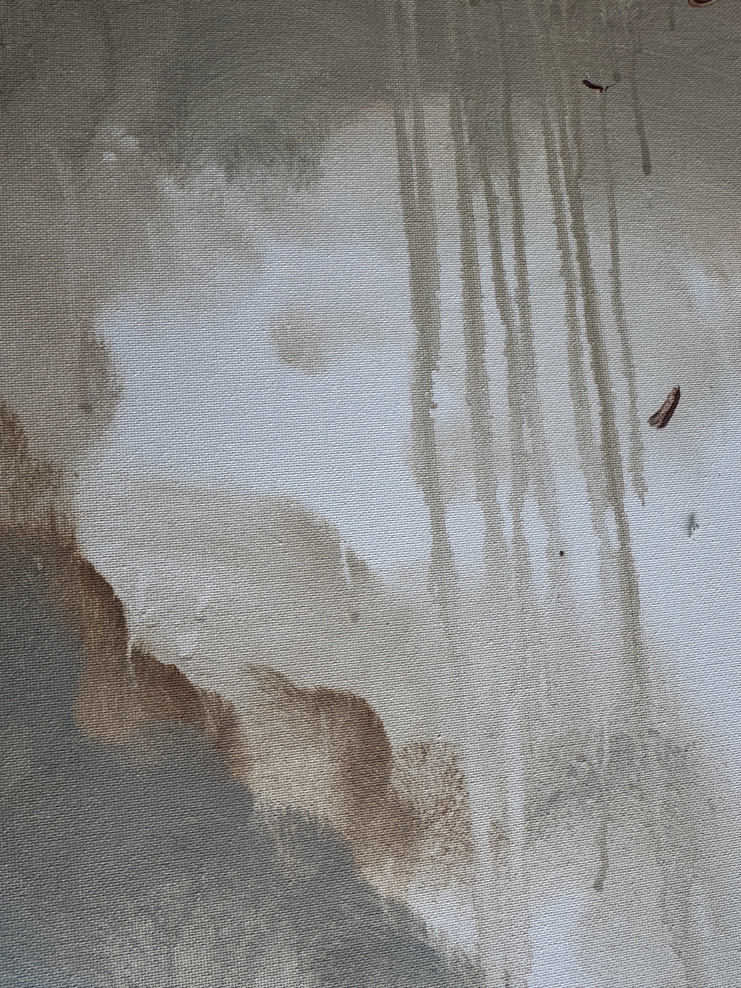 Stillness in Motion